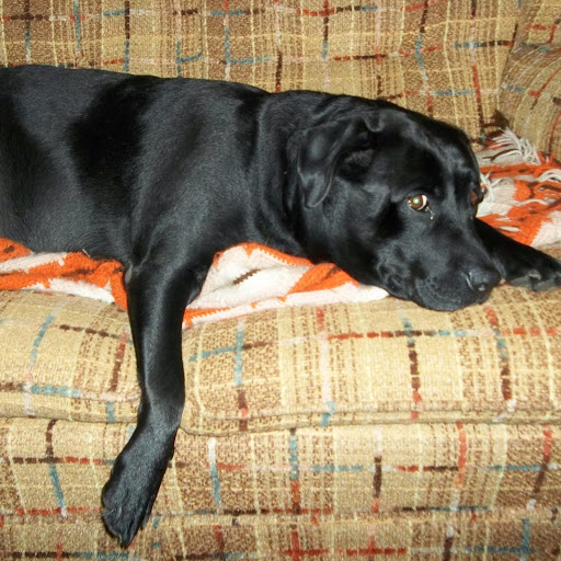 Marvin Anderson Photo 5