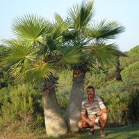 Roger Muller Photo 15