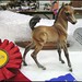 Brenda Metcalf Photo 16
