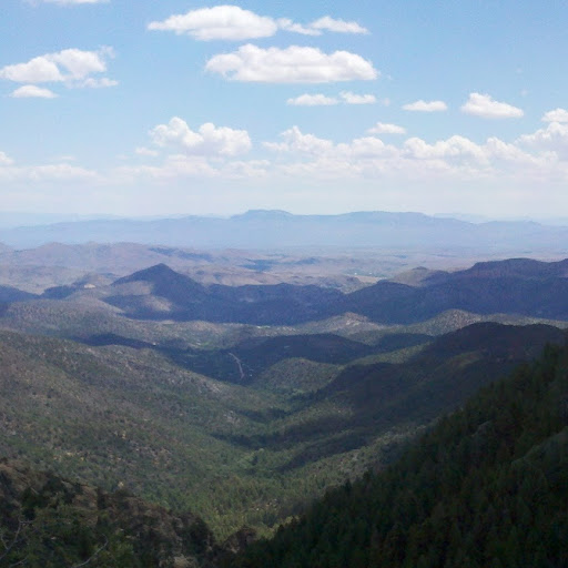 Jan Tripp Photo 17