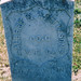Albert Norton Photo 10