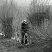 Richard Hedge Photo 12