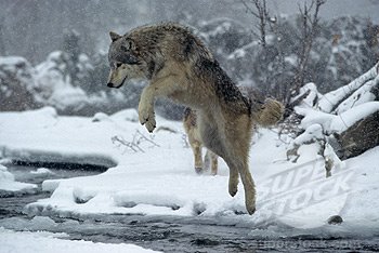 Brenda Whatley Photo 3