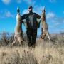 Jerry Weeks Photo 17