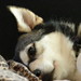 Mitzi Mills Photo 12