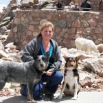 Susan Geiger Photo 4