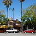 Jane Sites Photo 9