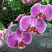 Nancy West Photo 20