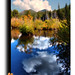 Cynthia Lake Photo 29