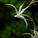 Debra Atwood Photo 10