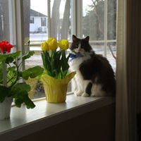 Marjorie Thompson Photo 46