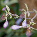 Christy Flowers Photo 33