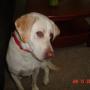 Roger Phillips Photo 14