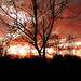 David Olan Photo 10