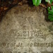 Tabitha James Photo 16