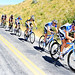 Peter Caldwell Photo 17