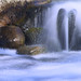 Joseph Rawson Photo 11
