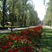 Robert Besen Photo 7