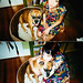 Max Phelps Photo 30