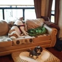 Janice Waites Photo 2