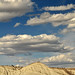 Cliff Houston Photo 12