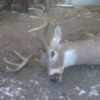 Larry Durham Photo 27