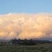 Gale Croft Photo 7