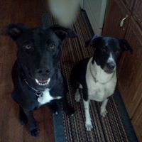Laura Yarbrough Photo 8
