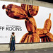 Dana Koon Photo 4