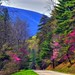 Virginia Springs Photo 6