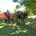 Vickie Fuller Photo 18