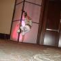 Ramona Ramirez Photo 39