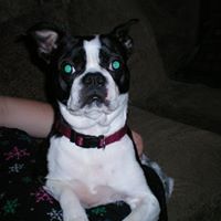 Cindy Bassett Photo 7
