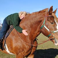Debbie Merrill Photo 13