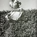 Carol Cheek Photo 17