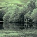 Bradley Little Photo 15