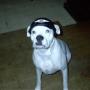 Brian Rhoads Photo 31