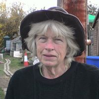 Jill Bradshaw Photo 16