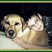 Isabel Thomas Photo 4