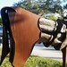 James Burnes Photo 36