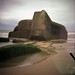 Diana Bunker Photo 8