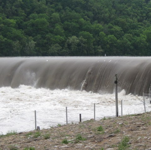 Joyce Barton Photo 6