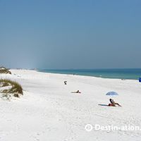 Donna Chapman Photo 18