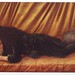 Lewis Coley Photo 9