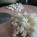 Brigitte Cook Photo 19