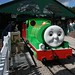 Thomas Land Photo 28