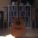 David Allman Photo 16
