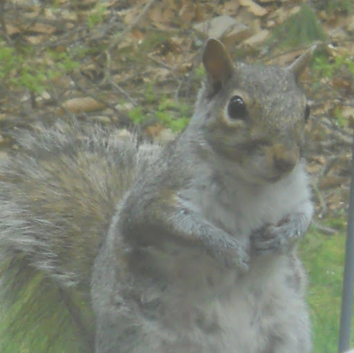 Sharon Seltzer Photo 18