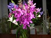 Andy Gruber Photo 31