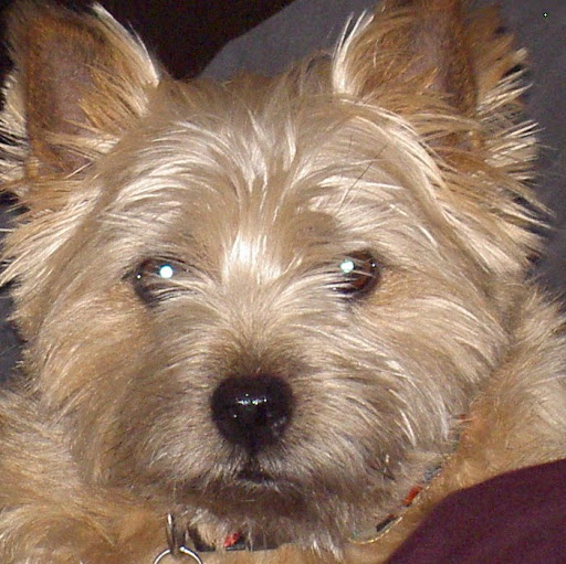 Julie Rawlins Photo 3